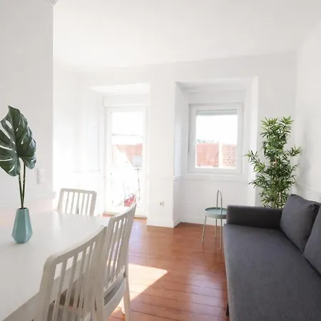 Campo De Ourique Portuguese 2-bedroom With Backyard Lisbon